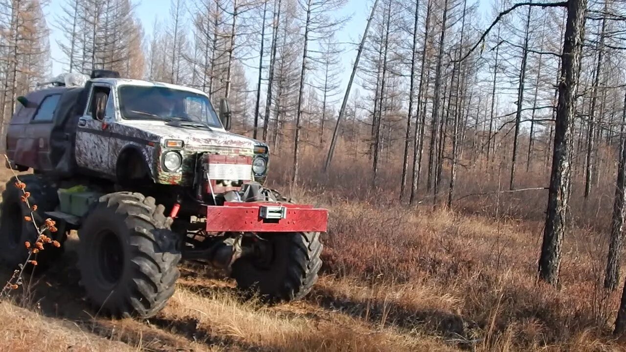 Снегоболотоход тайфун. Вездеход шерп на бездорожье. Вездеход тайфун. Вездеходы по бездорожью видео. Вездеходы на бездорожье.