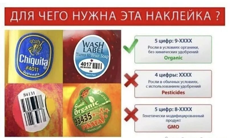 Ярлыки на одежде. Символы на этикетках одежды. Символы на этикетках одежды. Этикетка товара. Расшифровка знаков для стирки на ярлыке обозначения значки.