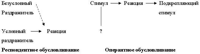 Стимул п. Оперантное поведение. Респондентное и оперантное обусловливание. Респондентное поведение схема. Респондентное поведение по Скиннеру.