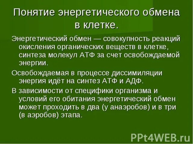 Окисление органических веществ в клетках. Процесс окисления органических веществ это. Процессы окисления органических веществ с освобождением энергии. Понятие энергетического баланса организма.