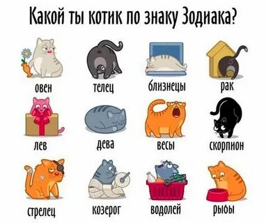 Покажи на картинку когда будет