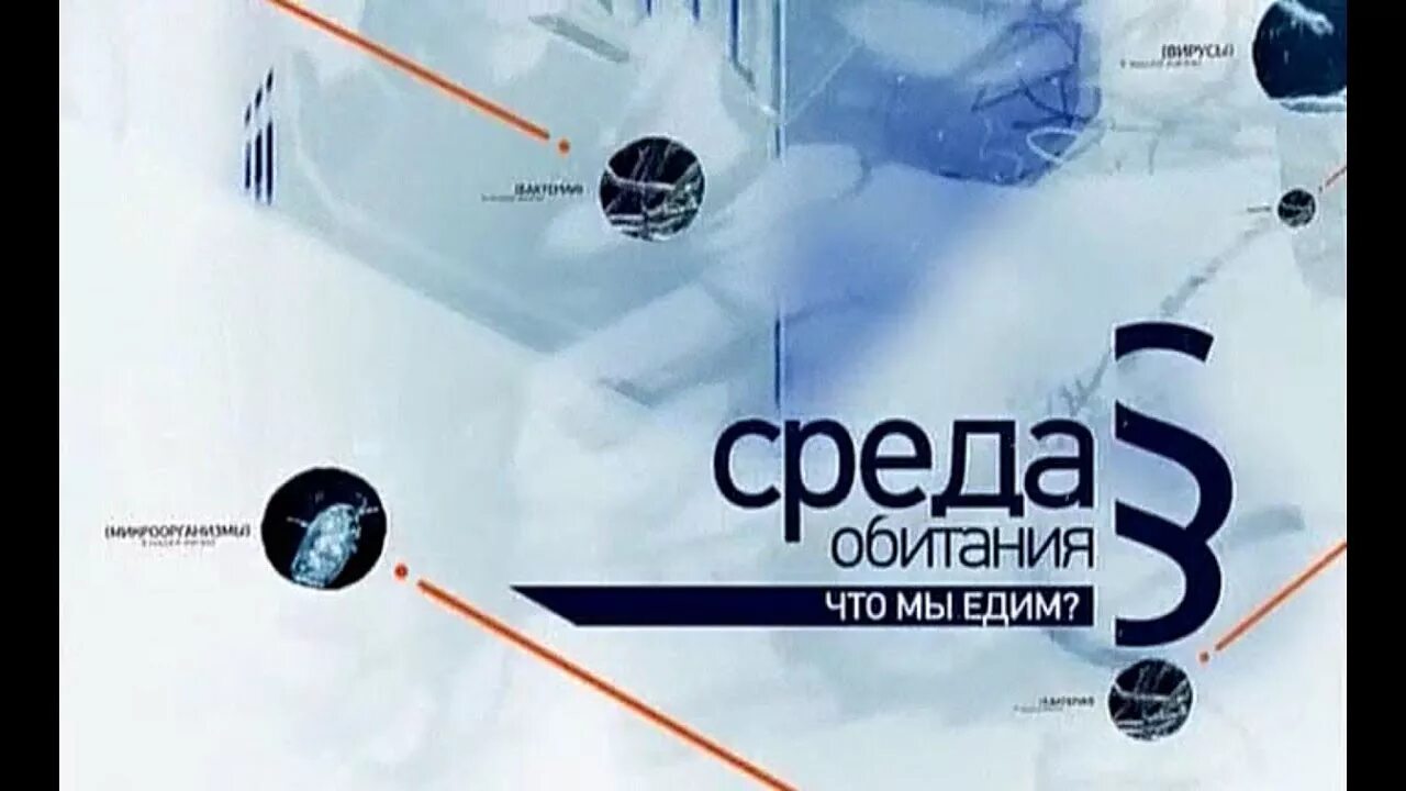 Наземно-воздушная среда обитания. Среда обитания газета. Улотрикс среда обитания наземно воздушная или водная. Экологические факторы среды обитания. Среда обитания где встречаются болота.