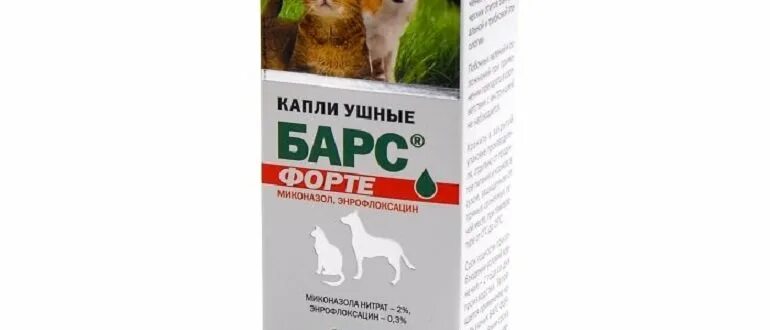 Ушные капли для котов. Капли эксперт для кошек от ушных клещей. От клещей ушных Leo. Капли от клещей ушных беременным кошкам. Dr.Seidel ушные капли коту.