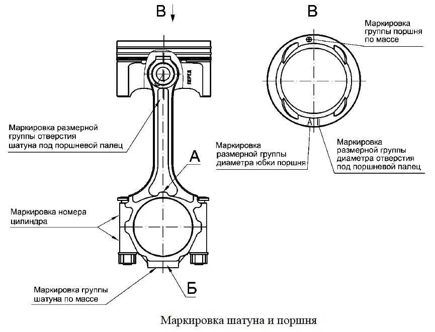 Маркировка змз 405. Поршень двигателя змз 53 схема. поршень двигателя змз 406 схема. поршень змз 406. шатун двигателя змз 402 чертеж.