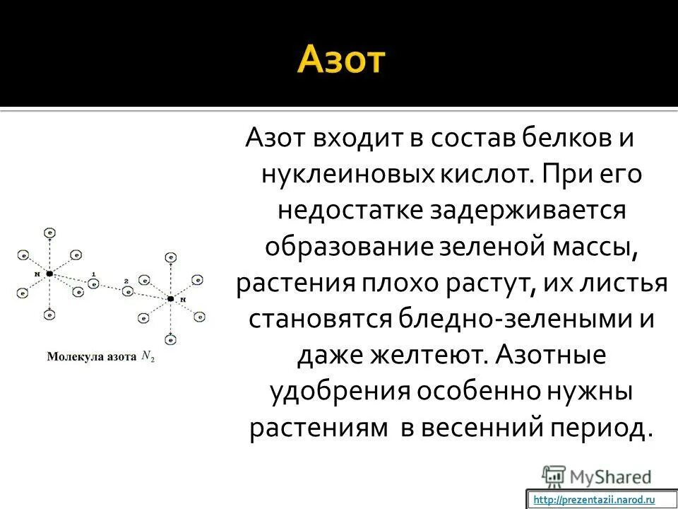 В составе белков имеются