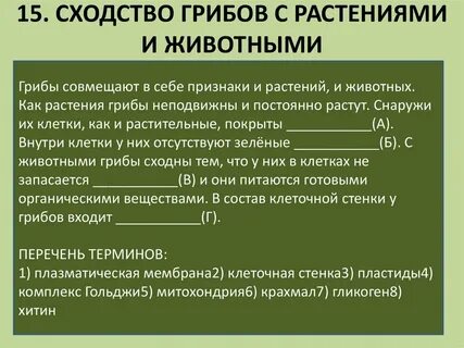 Грибы неподвижны как и растения