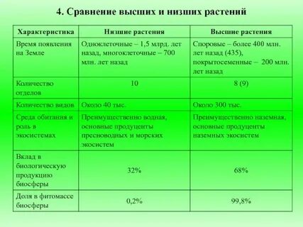 Сравните строение низших и высших