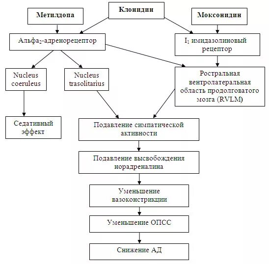 Механизм действия моксонидина фармакология. Моксонидин механизм действия. Механизмы действия средств, снижающих тонус вазомоторных центров. Моксонидин механизм действия. Блокаторы имидазолиновых рецепторов препараты.