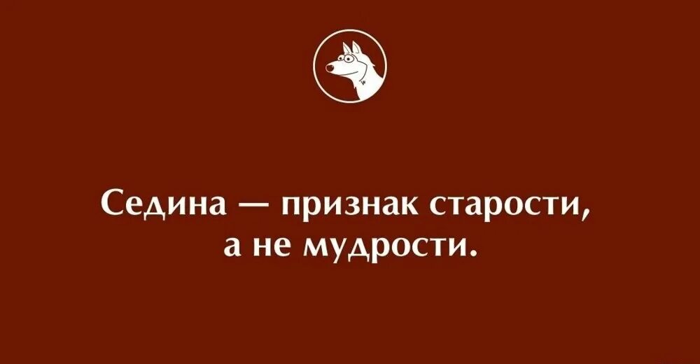 Седина поговорки. Седина поговорки. Еврейские поговорки. Статусы седина в бороду бес в ребро. Седина в бороду бес в ребро значение.