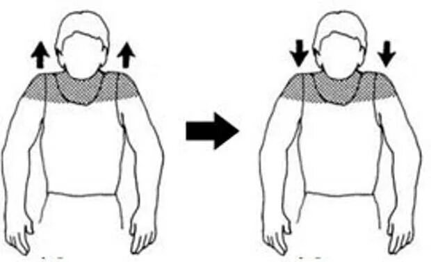 Поднимаем и опускаем плечи. Поднятие и опускание плечей. Пожимание плечами упражнение. Поднятие плеч упражнение. Опускать снизу