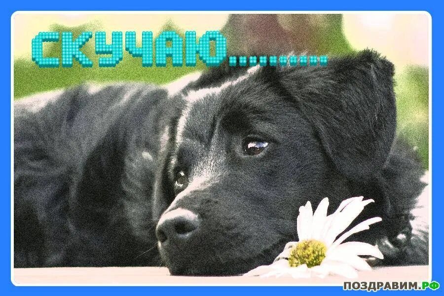 Мне плохо я скучаю по тебе. Открытки скучаю по тебе. скучаю без тебя картинки. открытки мне плохо без тебя. фото скучаю по тебе.