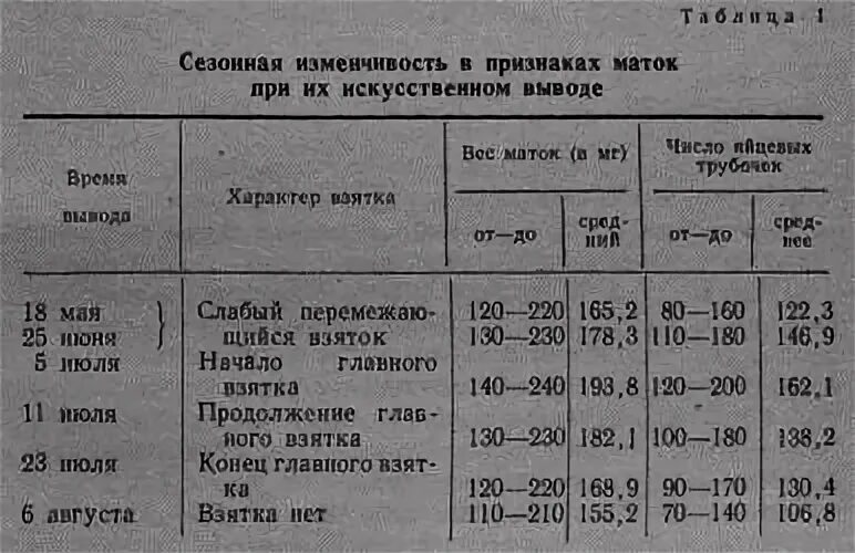 Вывод маток. Вывод маток пчел. Личинки для вывода маток. Калькулятор вывода маток.