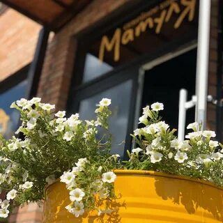 Moms cafe