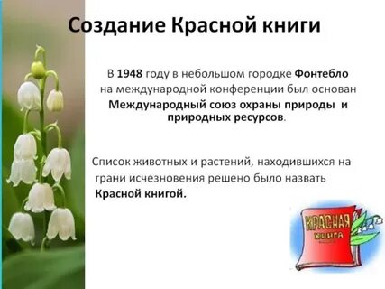 Презентация растения красной книги