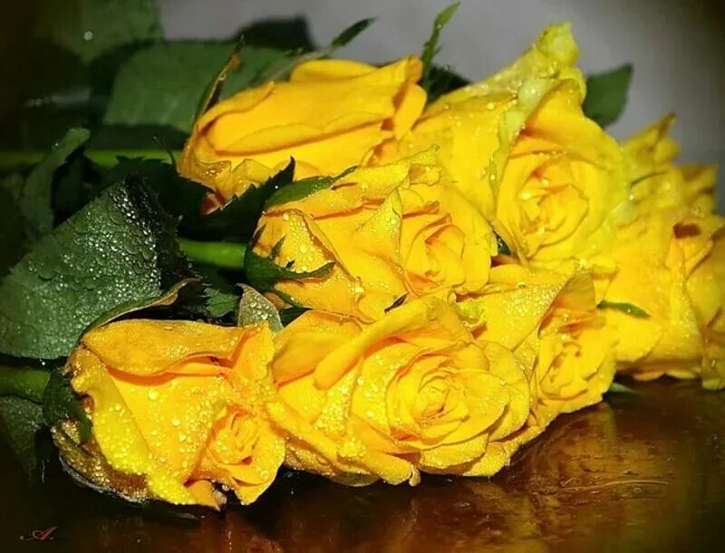Открытка с желтыми розами. Букет желтых цветов. Букет желтых роз. С юбилеем желтые розы. С днём рождения желтые цветы.