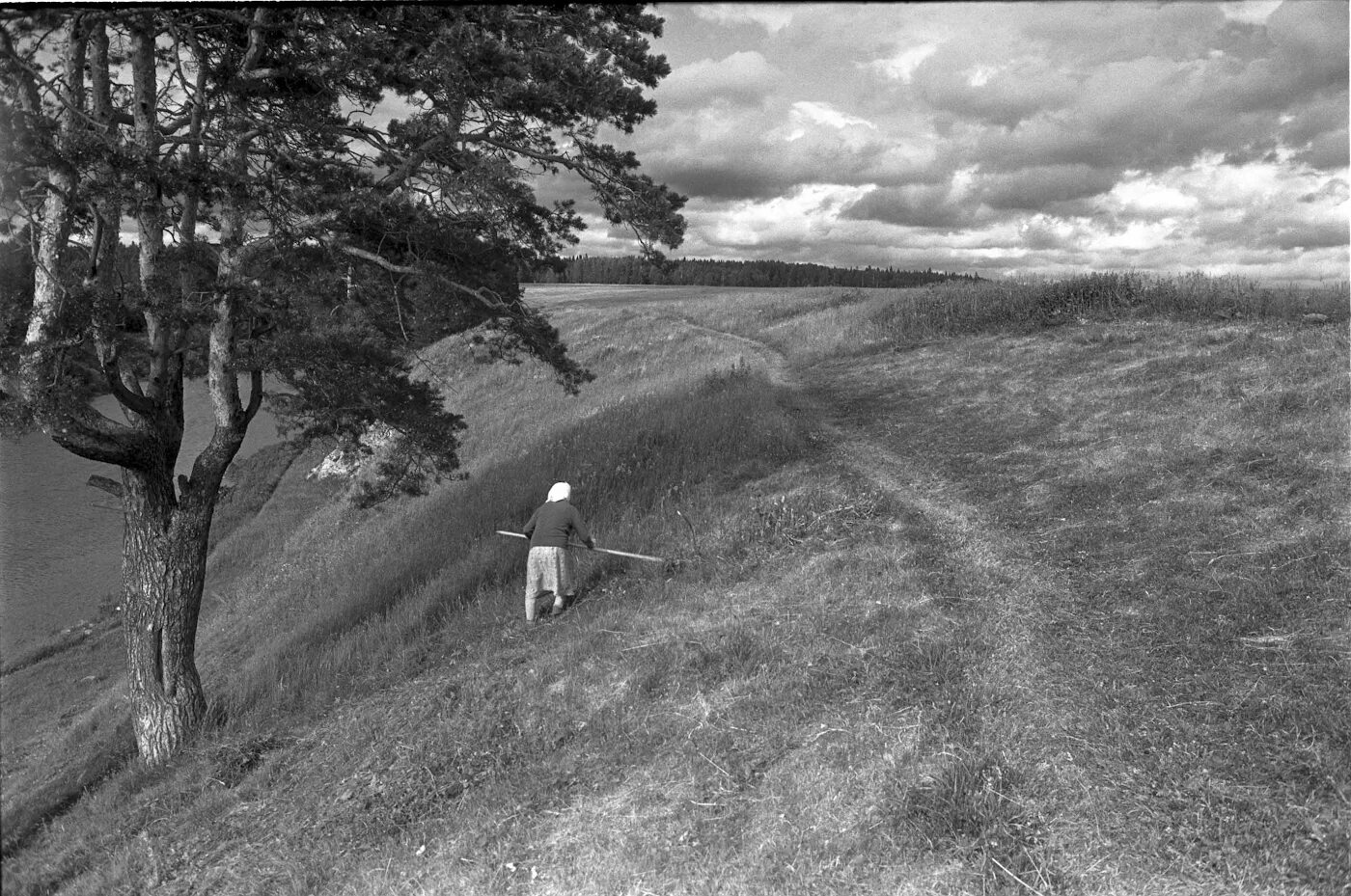 3 щемит. Старая черно белая фотография. Фотографии ностальгия. Старые фотографии природы.