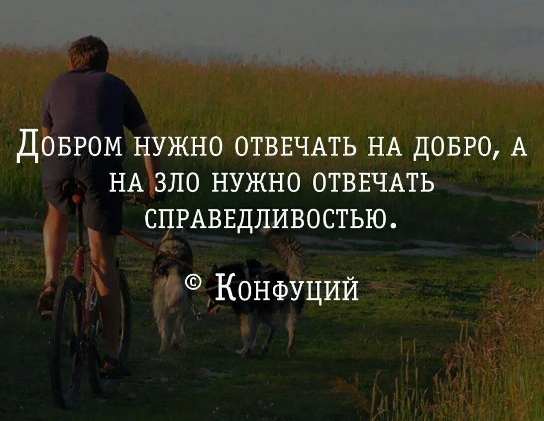 Есть но не нужно забывать. Высказывания о людях. Цитаты про добро. Афоризмы о доброте с картинками. Цитаты про доброту.