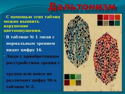 Как определяют дальтонизм у людей