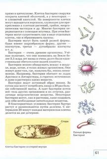 Учебник по биологии 6 класс плешаков читать