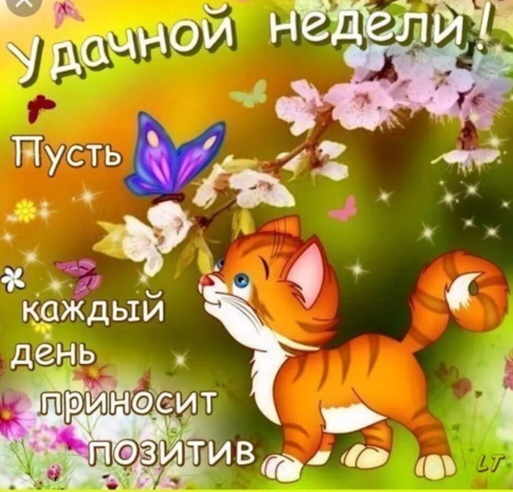 Отличного дня и недели. Красивое поздравление с понедельником. позитивные открытки на каждый день. пожелания на понедельник. хорошей недели.