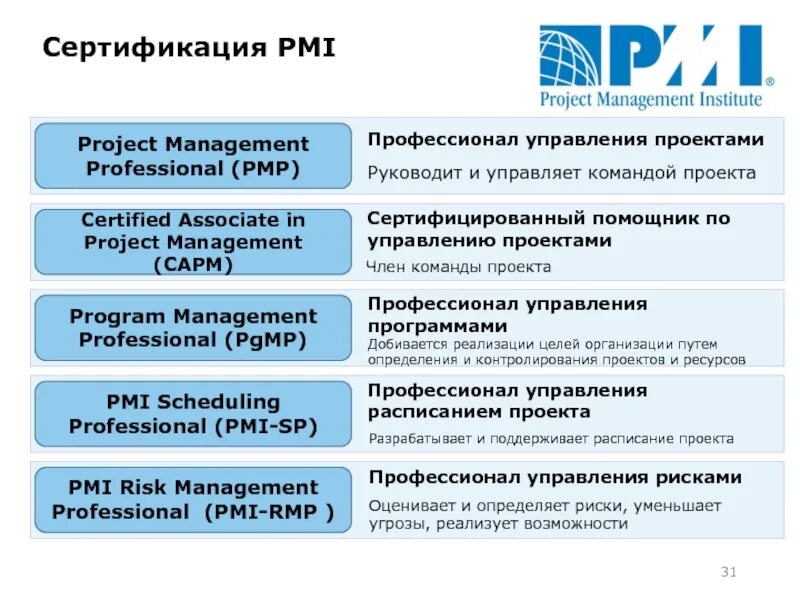 Project professional standard