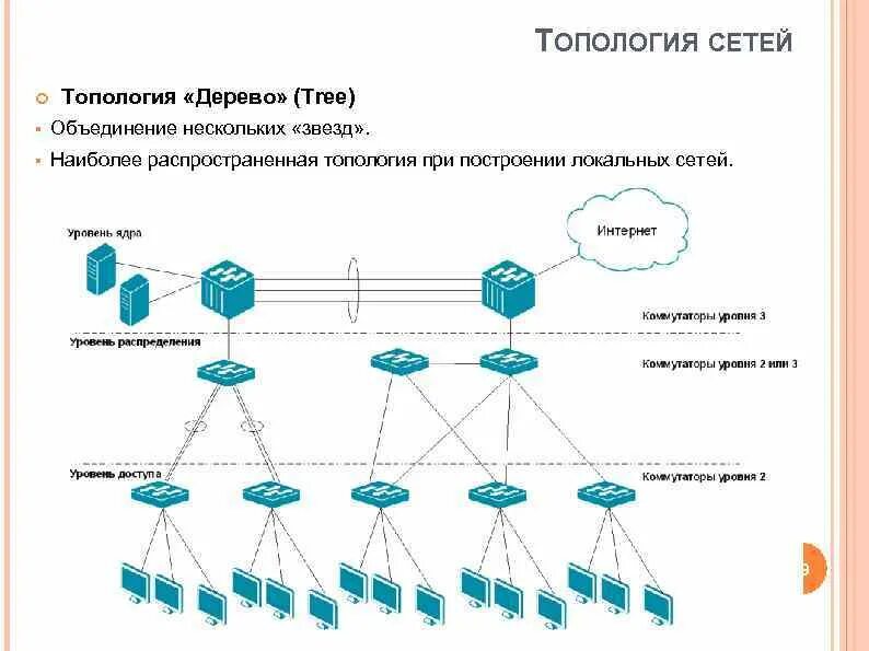 Топология ядра сети. Топология сети с коммутаторами 2 и 3 уровня. Топология построения сети провайдера звезда дерево. Коммутатор 3 уровня топология сети. Сеть 3 уровня