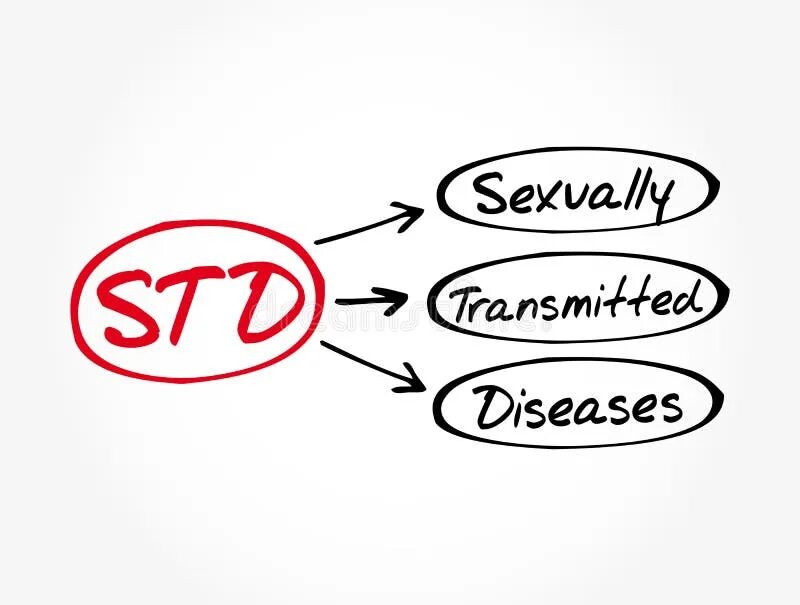 Std vector t. Std::vector. std::vector&lt;std::vector&lt;int&gt;&gt;. std. std vector push back.