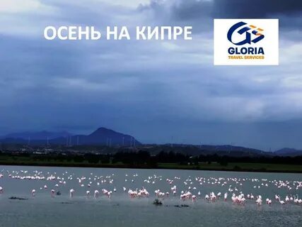 Погода на кипре в декабре