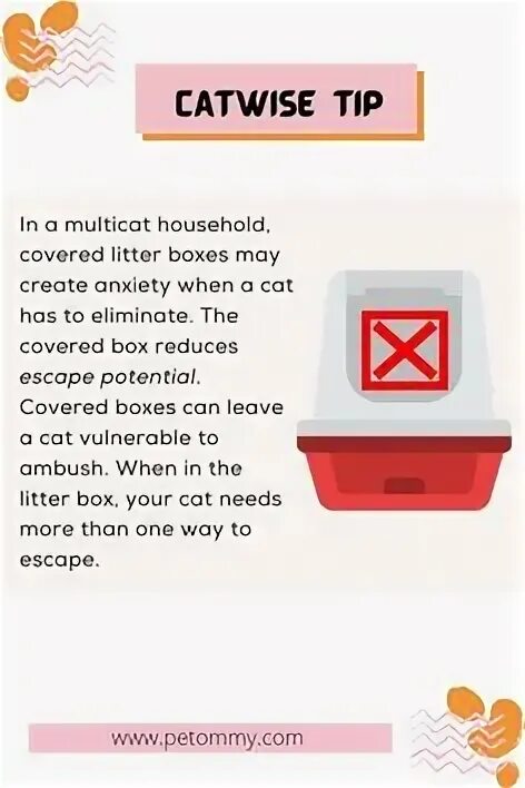 Код cats productivity tips. Код cats productivity tips