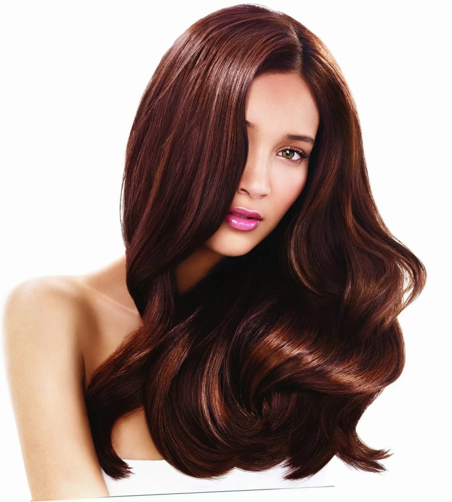 Chestnut brown цвет волос. Палитра каштан. Палитра каштан. Карамельно каштановый матрикс. Брюнет мокко матрикс.