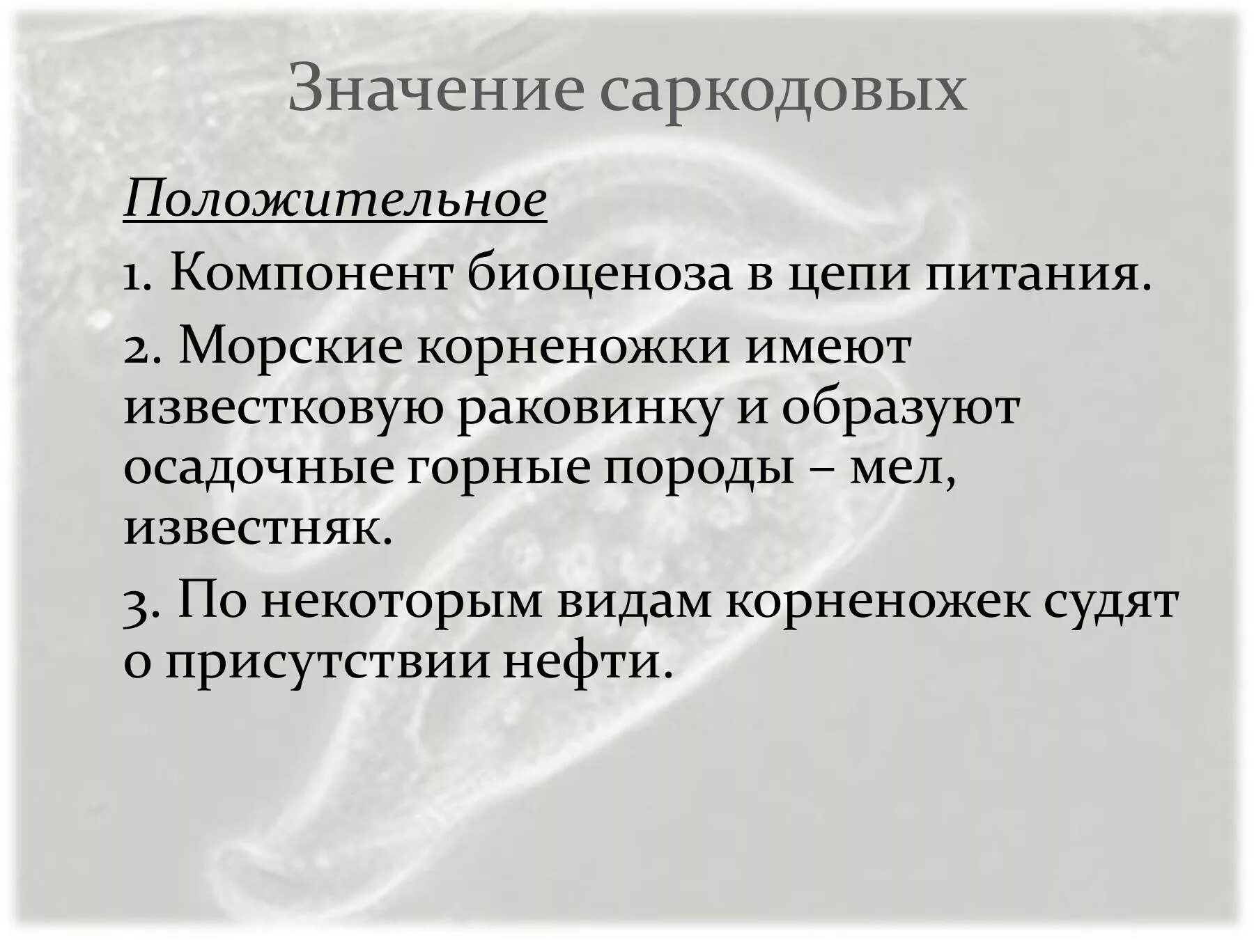 Значение class. Значение саркодовых. Значение саркодовых в природе. Значение класса Саркодовые. Значение саркодовых в природе и жизни человека.