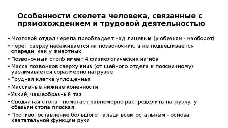 Особенности скелета человека связанные с трудовой деятельностью. Особенности строения скелета человека связанные с прямохождением. Особенности связанные с трудовой деятельностью. Особенности строения скелета человека в связи с прямохождением.