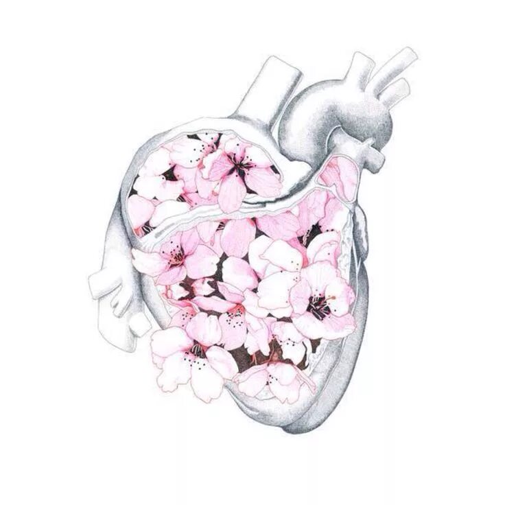 Heart sank idiom. Сердце рисунок. Heart тону. Сердце эскиз в цвете. Человеческое сердце в цветах.