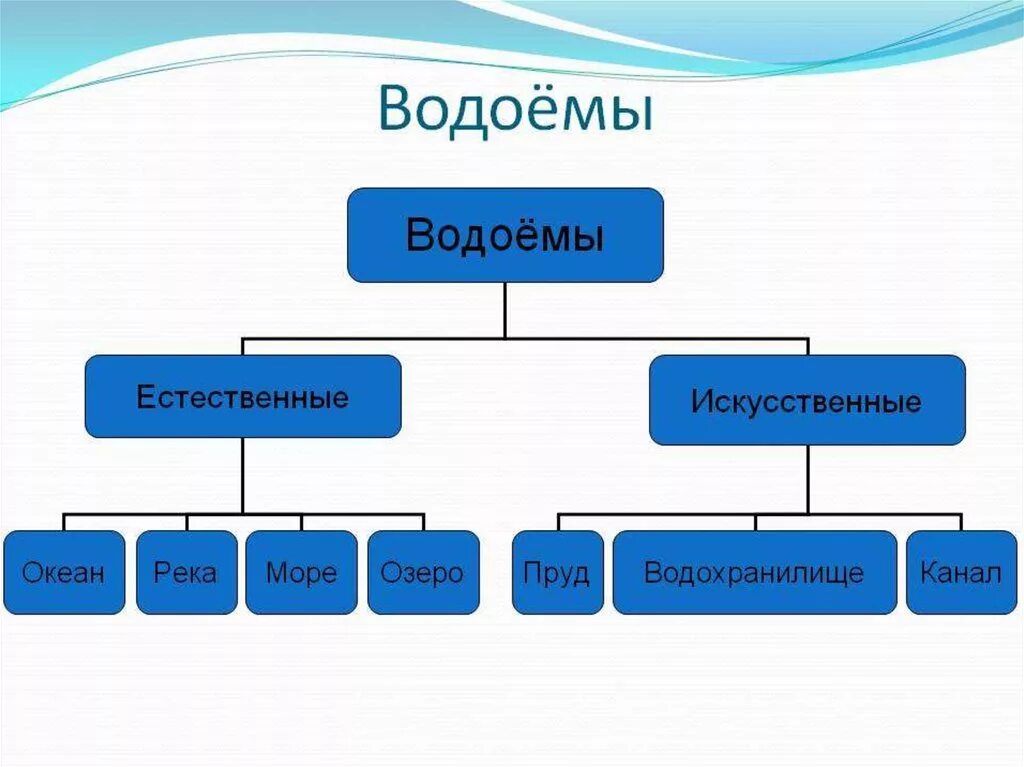 Напиши какие бывают. Классификация водоемов. Водоемы виды водоемов. Классификация искусственных водоемов. Водоемы презентация.