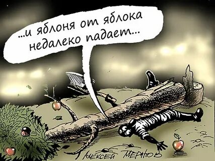 От яблони далеко падает