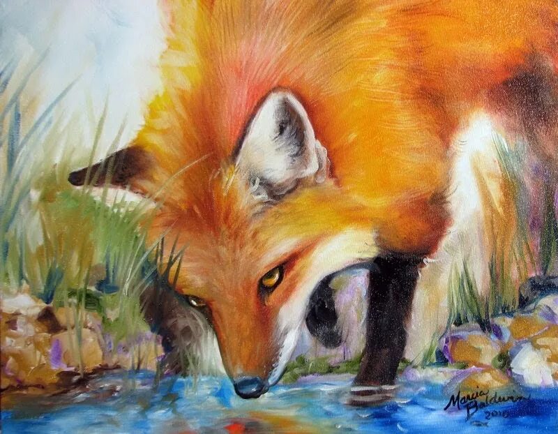 Fox original. Художник Marcia Baldwin Лисичка. Лиса рисунок. Лиса акварелью. Лисенок рисунок.