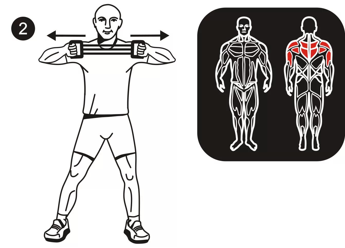Упражнения с эспандером группы мышц. Упражнения с пружинным эспандером. Powerball упражнения. Какие мышцы качает эспандер. Экспандер для грудных мышц упражнения.