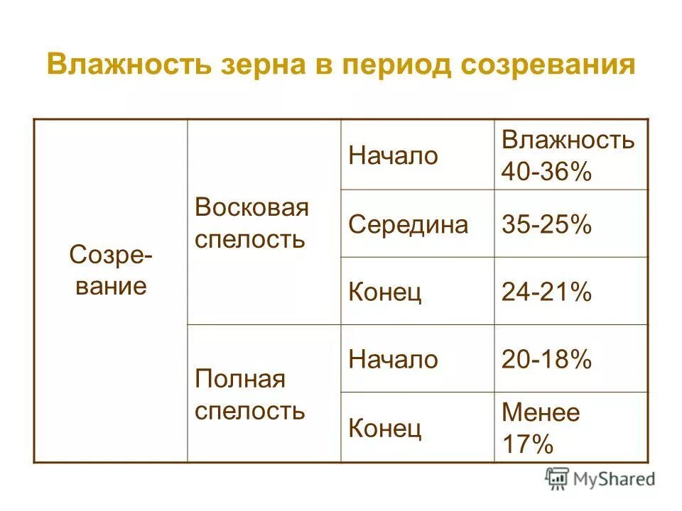 влажность зерновых. норма влажности зерна при хранении. влажность пшеницы для хранения. таблица влажности зерновых культур. влажность зерновых.
