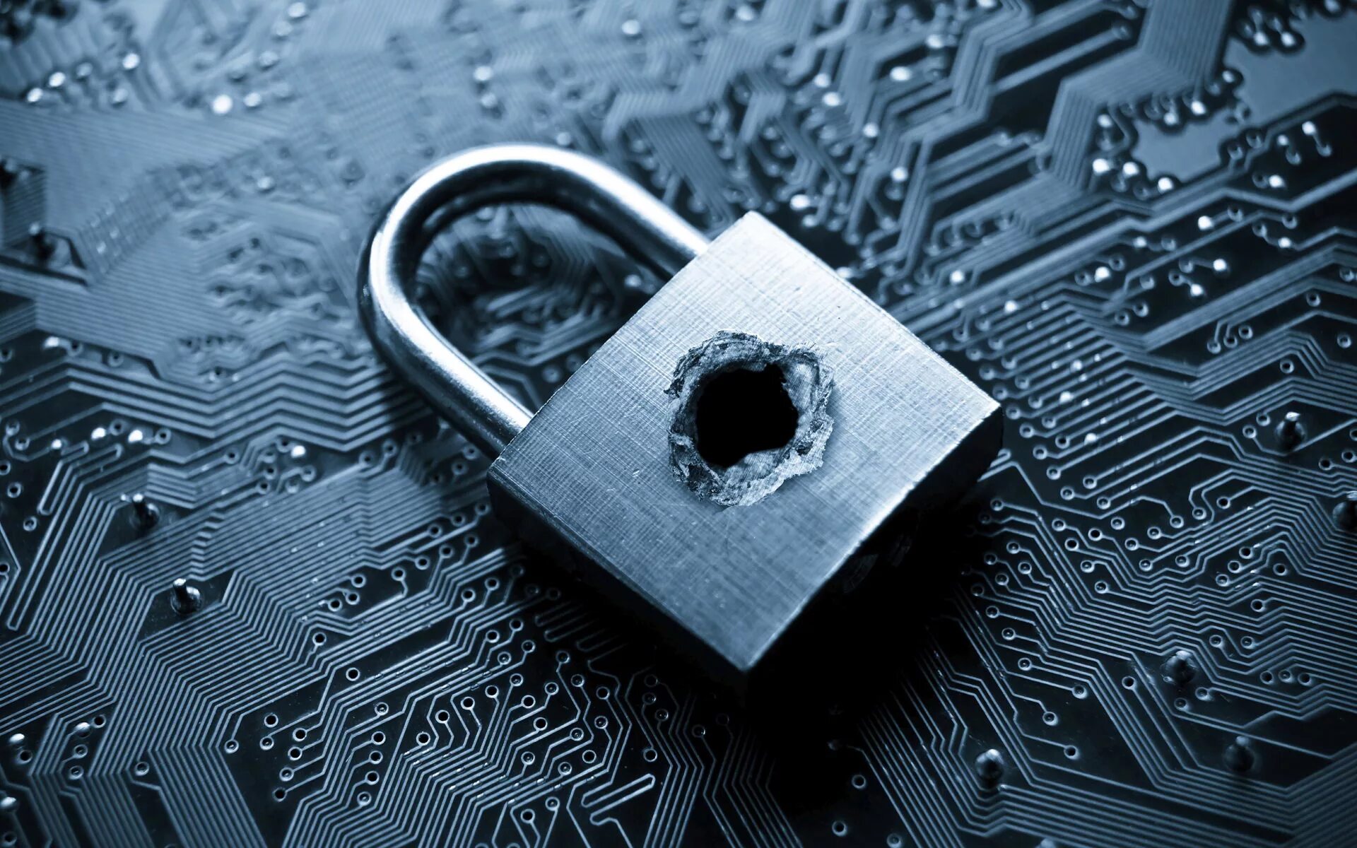 5 защита информации в интернете