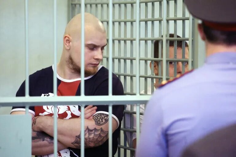 Полярная сова воеводин. Полярная сова воеводин