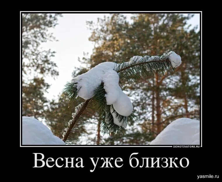 февраль прикол. открытка 29 февраля. наступила зима. последний день зимы прикольные. с 1 февраля картинки прикольные.