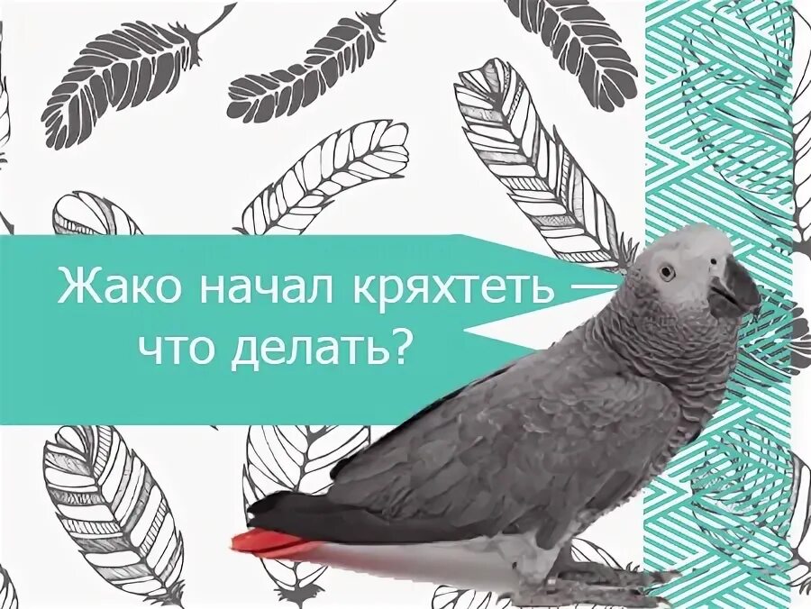 Кряхтя. Кряхтеть это. Маленькие люди недовольное кряхтение. Поднимите настроение. Кряхтеть это.