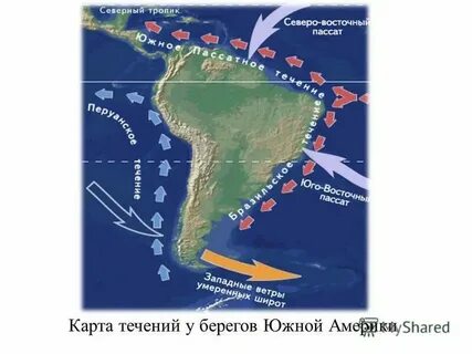 Холодное течение у западных берегов южной америки