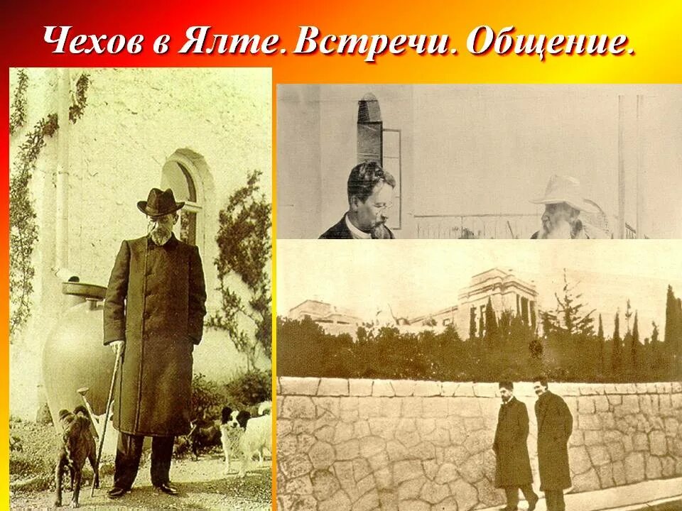 Жизнь чехова в ялте