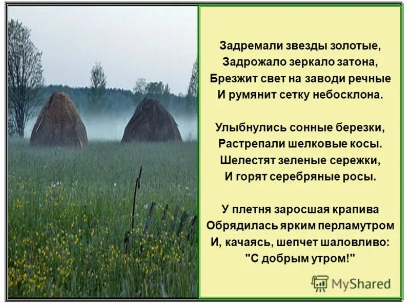 Обрядилась крапива. Задремали звезды золотые задрожало зеркало Затона брезжит. Задремали звезды золотые. С добрым утром задремали звезды. Задремали звезды.