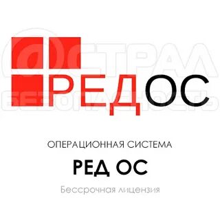 Включи редакцию