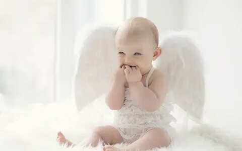 Baby wings
