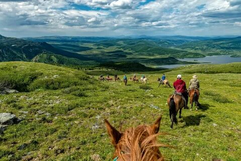 Программы алтай
