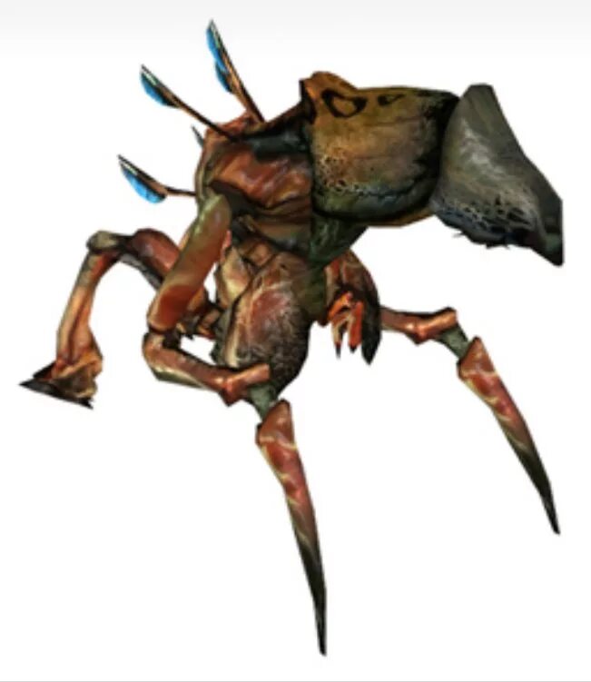 Half life 2 муравьиные. Муравьиный лев халф лайф 2. Львиный муравей half life 2. Half life 2 муравьиные. Half life 2 страж муравьиных львов.