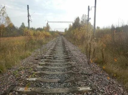 Ветка железной дороги